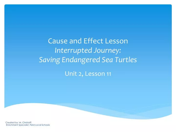 cause and effect lesson interrupted journey saving endangered sea turtles