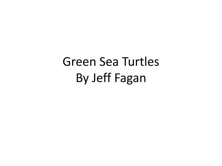 green sea turtles by jeff fagan