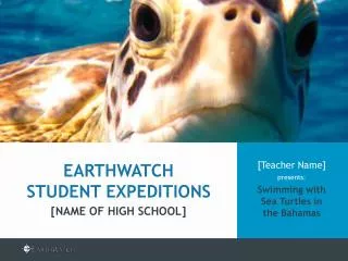 [Teacher Name] presents: Swimming with Sea Turtles in the Bahamas