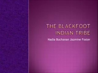 The Blackfoot Indian Tribe