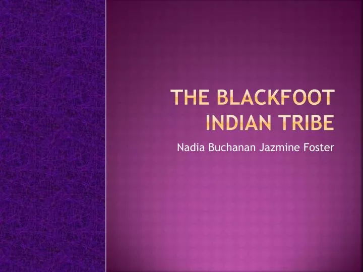 the blackfoot indian tribe