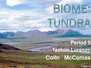 Biome: Tundra