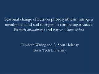 Elizabeth Waring and A. Scott Holaday Texas Tech University