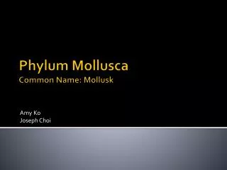 Phylum Mollusca Common Name: Mollusk