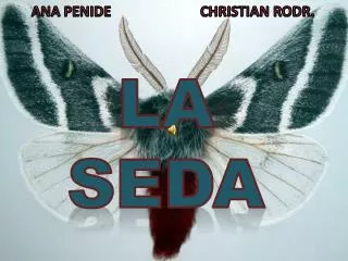 la seda