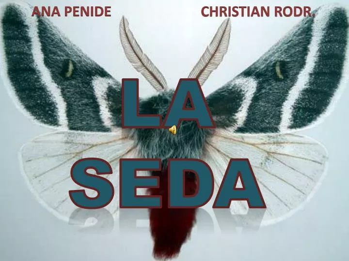 la seda