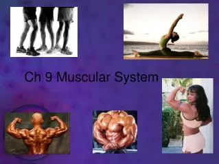 Ch 9 Muscular System