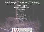 Feral Hogs: The Good, The Bad, The Ugly