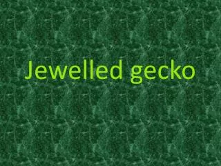 Jewelled gecko