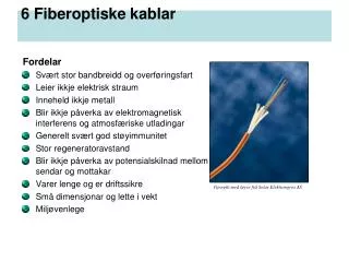 6 fiberoptiske kablar