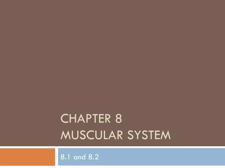 chapter 8 muscular system