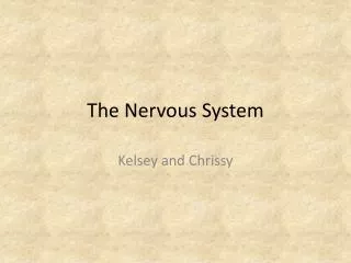 The Nervous System