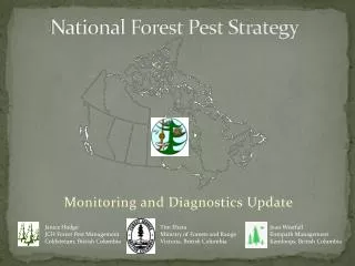 National Forest Pest Strategy