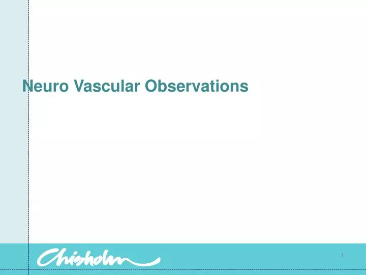 neuro vascular observations