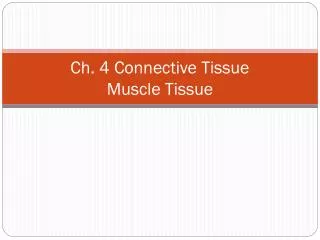 Ch. 4 Connective Tissue Muscle Tissue