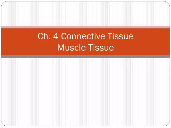 ch 4 connective tissue muscle tissue