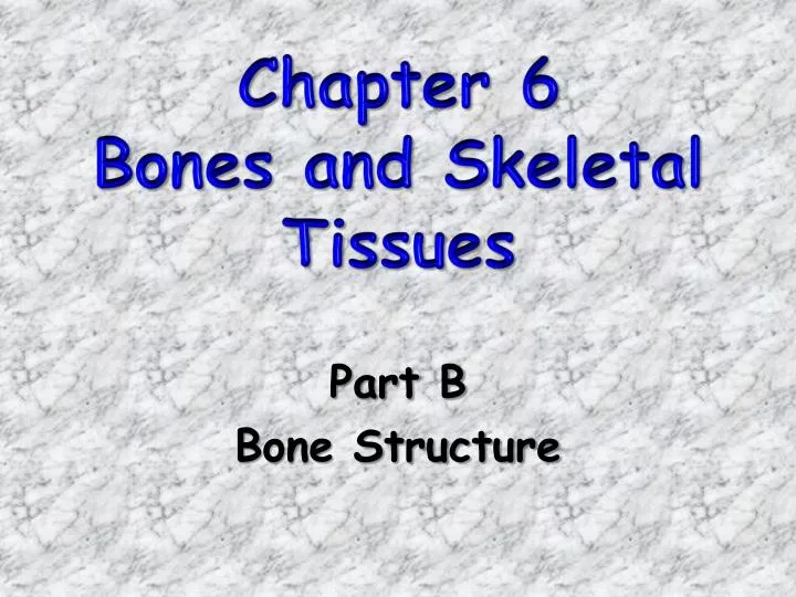 chapter 6 bones and skeletal tissues