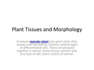 Plant Tissues and Morphology