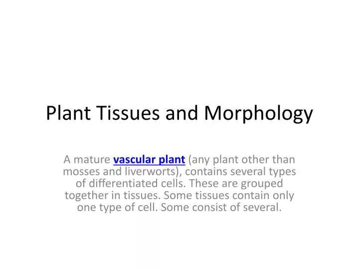 plant tissues and morphology
