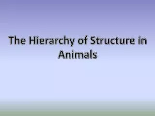 The Hierarchy of Structure in Animals