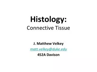 Histology: Connective Tissue