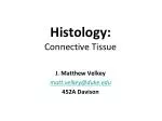 Histology: Connective Tissue - slide 1