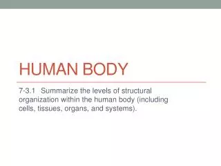 human body