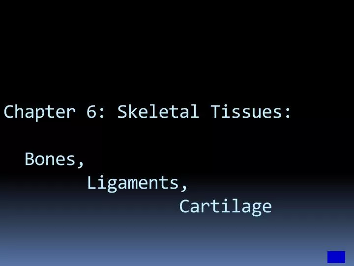 chapter 6 skeletal tissues bones ligaments cartilage