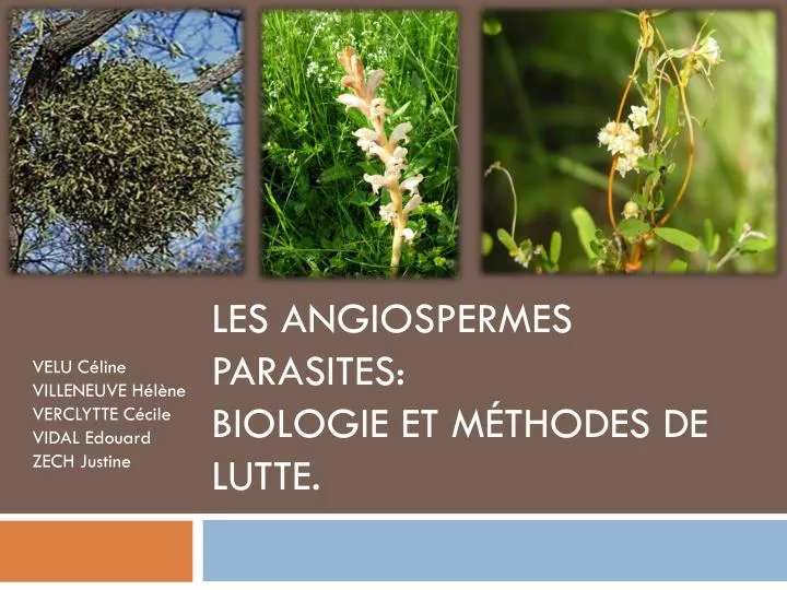 les angiospermes parasites biologie et m thodes de lutte