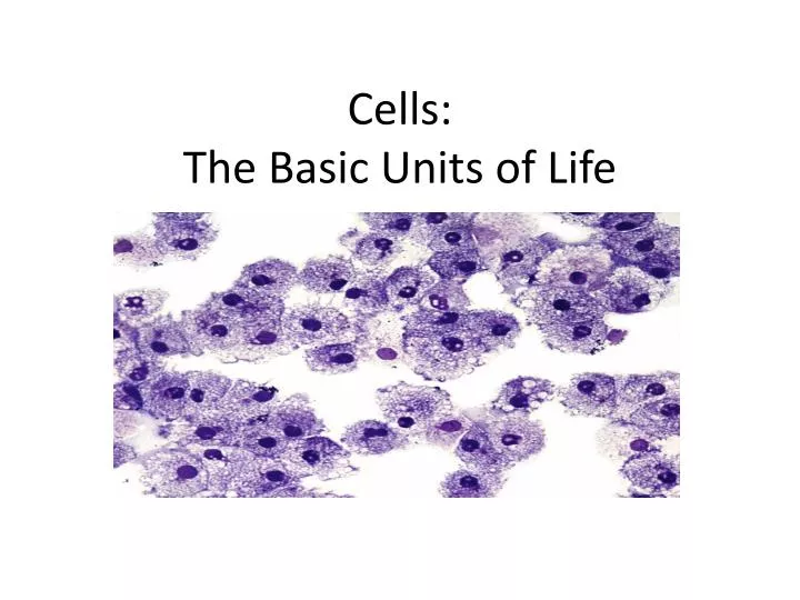 cells the basic units of life