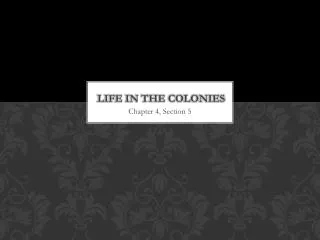 life in the colonies