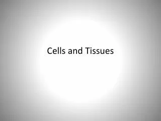 Cells and Tissues