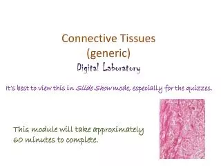Connective Tissues (generic) Digital Laboratory