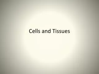 cells and tissues