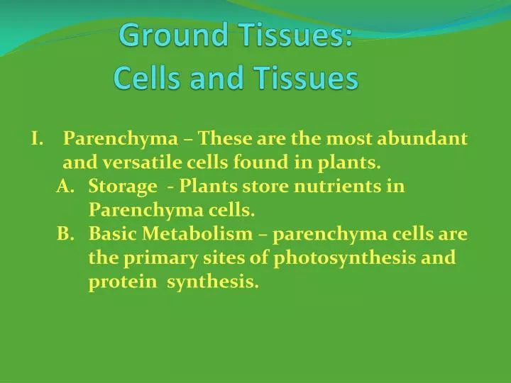 ground tissues cells and tissues