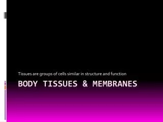 Body Tissues &amp; Membranes