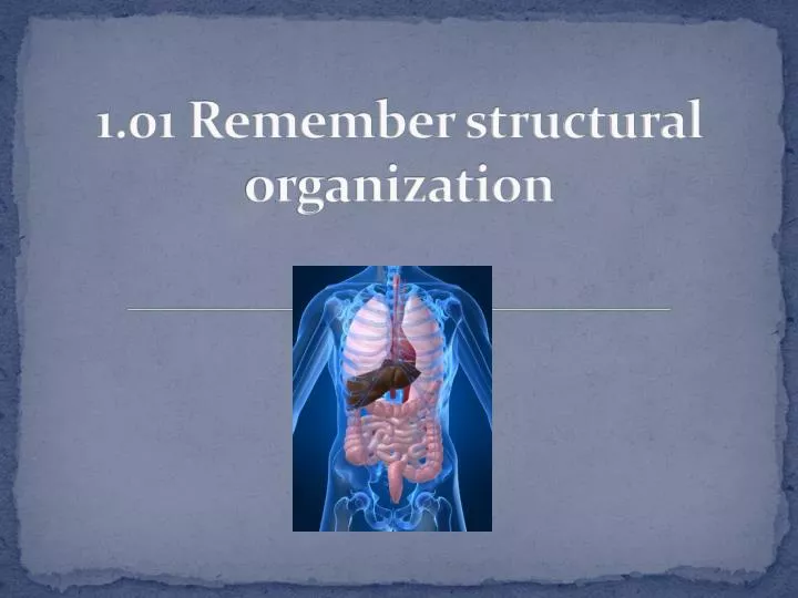 1 01 remember structural organization