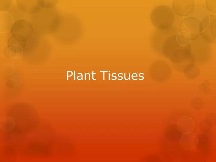 plant tissues