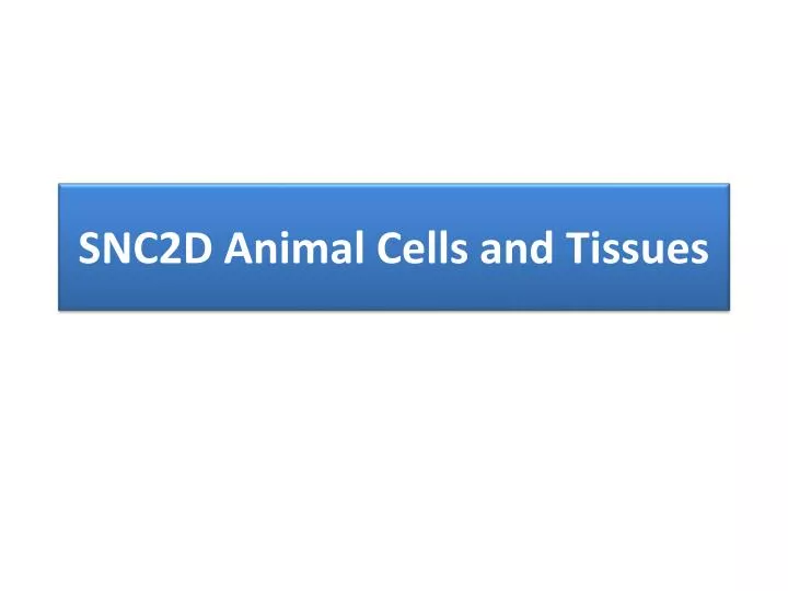 snc2d animal cells and tissues