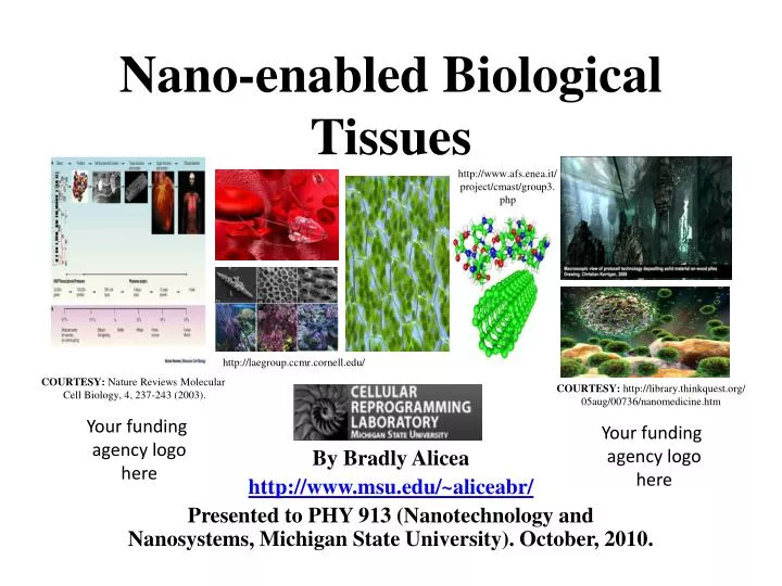 nano enabled biological tissues