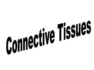 Connective Tissues