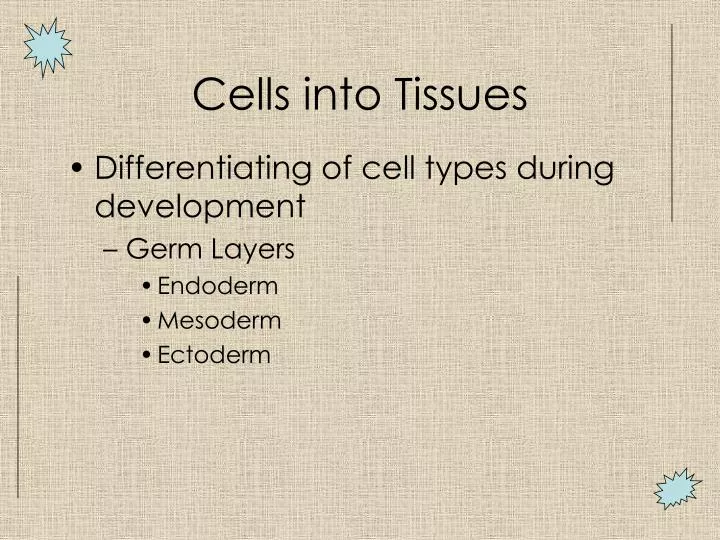 cells into tissues