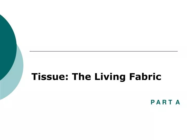 tissue the living fabric