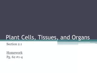 Plant Cells, Tissues, and Organs