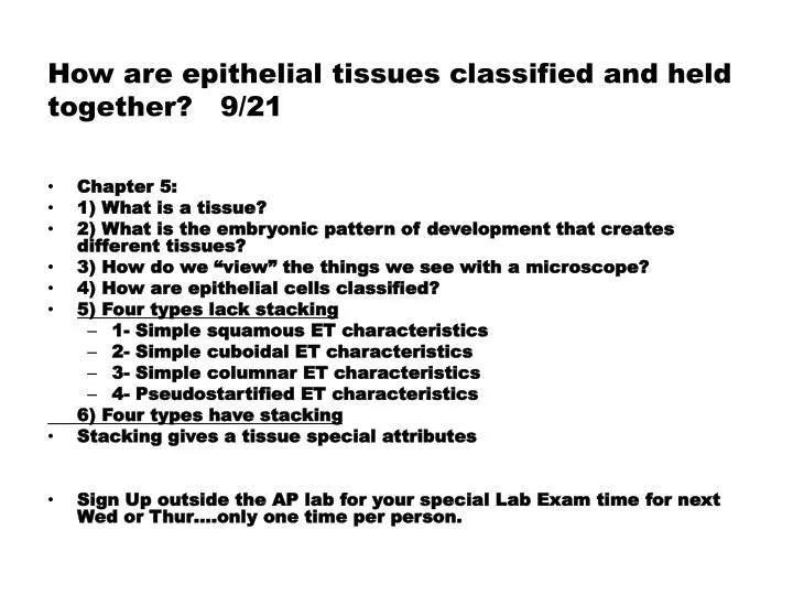 how are epithelial tissues classified and held together 9 21