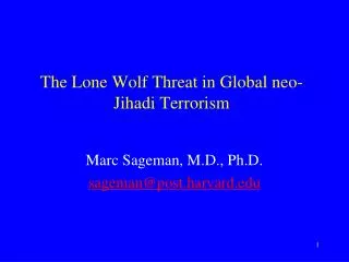 The Lone Wolf Threat in Global neo- Jihadi Terrorism