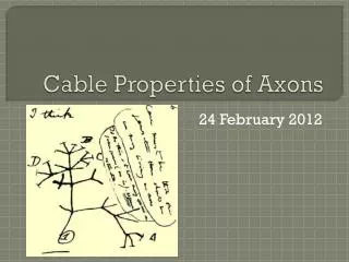 Cable Properties of Axons
