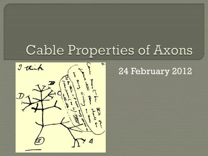 cable properties of axons