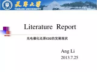 Literature Report
