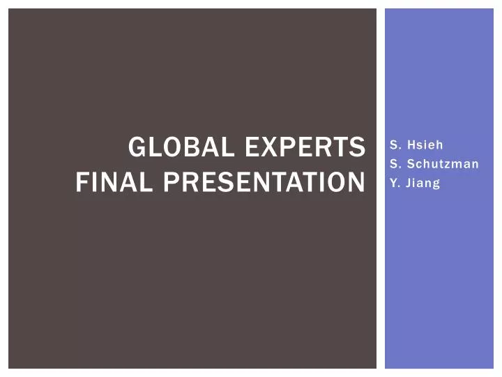 global experts final presentation